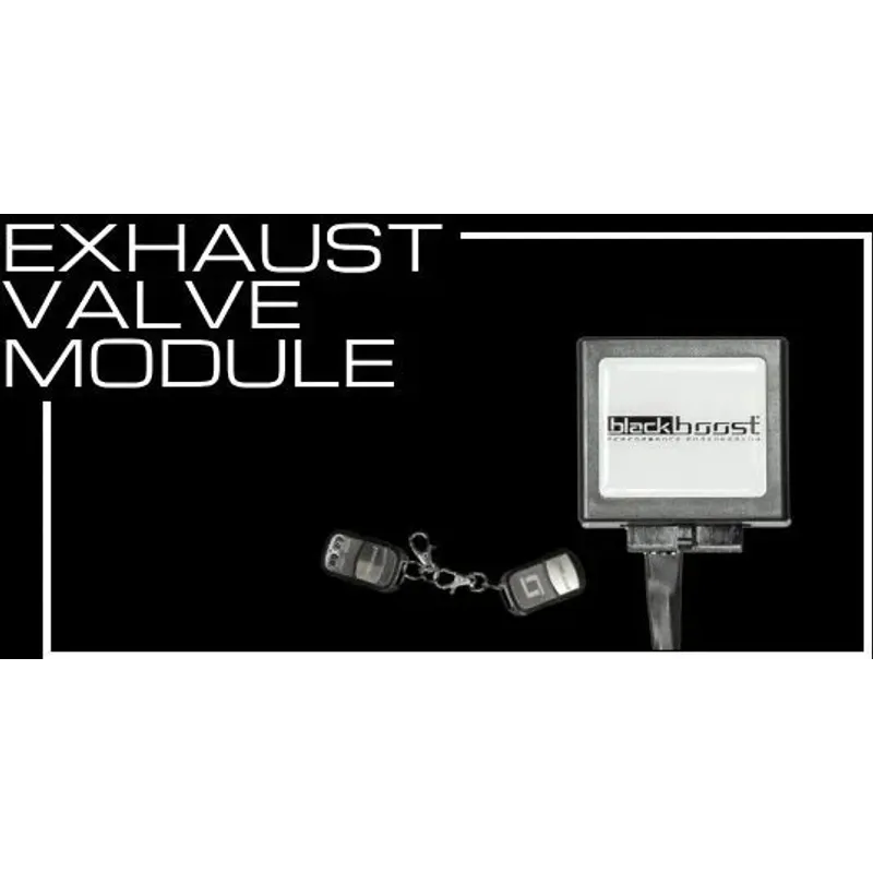Exhaust Valve Modules